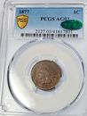 1877 INDIAN ONE CENT PCGS AG03 CAC UNDISPUTED KEY TO SERIES CAC APPROVED