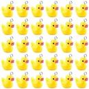 Niuhong 30 Pcs Duck Pendants Small Yellow Duck Charms Cute Resin Charm Jewelry Creation Miniature Duck for Bracelet Necklaces Keychain DIY Crafts Jewelry, 0.67x0.59 in / 1.7x1.5 cm, Resin, No Gemstone