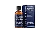 Mystic Moments | Peppermint Arvensis Olio essenziale 100 ml - Olio puro e naturale per diffusori, aromaterapia e massaggio miscele senza OGM vegano