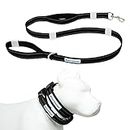 Shed Defender Mag-Snap Dog Leash 5 ft. Wearable Magnetic Leash, Designed in The USA, Attaches to Any Collar, Two Padded Traffic Handles, Dual Layer Thickness, Heavy Duty, Medium, Large Breed (Black)