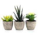 T4U Plastic Artificial Succulent Plants with Pots Mini Size for Home Office Wedding Decoration Pack of 3 Collection 1