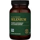 Global Healing Selenium 200mcg with Mustard Seed Extract, Antioxidant Supplement for Thyroid & Weight Loss Support, Natural Metabolism, and Immune System Health - Non-GMO - Men & Women 60 Capsules