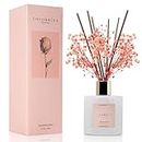 Cocorrína Premium Reed Diffuser Set with Preserved Baby's Breath & Cotton Stick Sandalwood Rose | 6.7oz Scent Fragrance Oil Diffuser for Bedroom Bathroom Living Room Home Décor