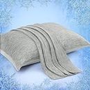 Elegear Pillowcases,2 Pack Arc-Chill Cooling Pillow Cases with Double-Side Design,Soft Breathable Pillow Cases for Hair and Skin,Queen Size (20×30 inches) Pillow Cover, Q-MAX>0.43,Gray