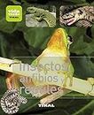 Insectos, anfibios y reptiles/ Insects, amphibians and reptiles