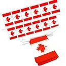QOOWFEANIG 32.8ft 38 Pcs Rectangle Canada Pennant Flags Banner, Mini Canadian Flag Banner, for Canadian Day, Kids, Office, Vivid Color, Home, School, Bars, Restaurants, Garden Decor