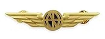 Luso Aviation Pilot Wings Aviator's Shirt Lapel Pin (Gold)