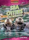 Sea Otters in Their Ecosystems (Vital to Earth! Keystone Species Explained)