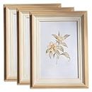 Haobase 3 Pcs 6x8 inch Deep Photo Frames With Vertical/Horizontal Angle Bracket, Picture Frames for Home Office Decoration