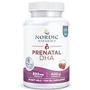 Nordic Naturals Prenatal DHA, 830 mg di Omega-3 con EPA e DHA, Altamente Dosato, Insapore, 90 Capsule Morbide, Testato in Laboratorio, Senza Soia, Senza Glutine, Non OGM