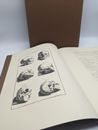 RARE Medicina Rara Book by Bernardino Genga, Anatomy Human Body Skeleton, Folio