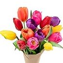 Stargazer Barn - Prime Overnight Delivery - The Happy Bouquet- Farm Fresh Colorful Tulips - Ship directly from our farm to your door, Red, Pink, Yellow, Purple, Orange