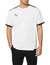 Puma Men's Color Block Regular Fit T-Shirt (704917_White-Black