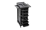 Funnylife Salon Trolley Stylist Cart with 6 Drawers 4 Rolling Wheels, Beauty Storage Organizer, Barber Station Hair Styling Cabinet for Hairdresser Barber