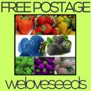 LOCAL AUS STOCK - Yellow, Purple, Pink, White, Green, Blue Strawberry Seeds ~10x