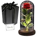 Mother's Day Rose Gifts, Rose Flower Gifts for Women, Beauty and The Beast Rose, Rose Flowers for Mother's Day Women Gift, Red Galaxy Rose Flowers in A Glass Dome for Girlfriend, Wife
