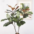 Rubber Leaves Simulated Magnolia Tree Branch Large Artificial Plants  Office