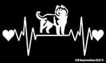 UR Impressions Siberian Husky Heartbeat Decal Vinyl Sticker Graphics for Cars Trucks SUV Vans Walls Windows Laptop|White|7.5 X 4.25 inch|URI257