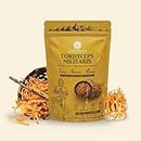 Cordyceps Militaris Dry Fruiting Body Dietary Supplement for Boost Energy Stamina, Respiratory Health and Immune Function - 500 gram (Pack of -1)