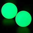 DONZWIYES Street Hockey Balls Glow in The Dark Sports Balls for Indoor Outdoor Road Roller Hockey and Field Hockey Games(2 PCS 2.56 Inches)