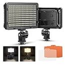 Neewer 176 LED 5600K Ultra Bright Dimmable on Camera Video Light with 1/4-inch Thread Mount for Canon,Nikon,Pentax,Panasonic,Sony and Other DSLR Cameras (Power Adapter or Batteies NOT Included)