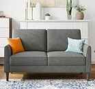 LINSY 58" W Loveseat Sofa, Small Couch Modern Comfy Couch for Bedroom and Living Room, Small Loveseat for Small Spaces, Easy Assembly, Dark Grey