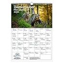 Orsenzauber Planer - Calendario DIN A3 per orsi 2024 – Incantesimo delle anime