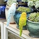 CLUB BOLLYWOOD® Parrot Figurine Garden Decor Planter Pot Hugger Figurine for Patio Lawn Yard Yellow | Yard, Garden & Outdoor Living | Garden D?©cor |Home & Garden |1x Resin Parrot Figurine