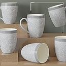 The Earth Store Grey Fizz Coffee Mug Set of 6 Ceramic Mugs to Gift to Best Friend, Tea Mugs, Microwave Safe Coffee Mugs, Ceramic Tea Cups