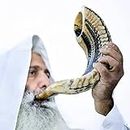 Kosher Ram Shofar Horn from Israel Traditional Half Polished Ram Shofar, Holy Land Easy Blowing Ancient Jewish Musical Instrument, Smooth Mouthpiece for Easy Blowing, Clear Sound Shofar (12"-14")