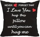 Two Sided Printing Lover Pillow Cover I Love You Hug This Pillow Until You Can Hug Me, Valentine's Day Birthday Gifts for Girlfriend Cotton Linen Square Decorative Cushion Waist Pillowcase 18"x 18"
