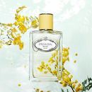 Prada Infusion de Mimosa 3.4 oz Eau de Parfum EDP Perfume for Women Men Spray