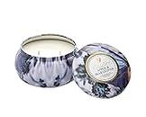 Voluspa Maison Jardin Two-wick Candle, Apple and Blue Clover, 11 Ounce