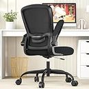 Office Chair, Ergonomic Desk Chair with Adjustable Lumbar Support & Seat Height, High Back Mesh Computer Chair with Flip-up Armrests-BIFMA Passed Task Chairs for Home Office (Modern, Black)