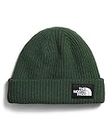 The North Face Unisex Adult's Salty Dog Beanie, Pine Needle, One Size
