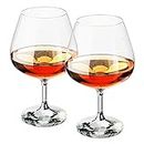The Wine Savant Brandy & Cognac Snifters Whiskey Glasses Set of 2 - Crystal Diamond Design - For Drinking Whiskey, Liquor, Bourbon, Perfect For Any Bar or Party 12oz Diamond Glasses