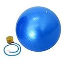 Wolblix 55cm Anti Burst Sports Yoga Ball w/Pump Pilates Fitness Gym Balance Stability Swiss Ball Fitball Exercise Workout Massage Ball (Blue)