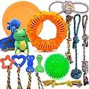 Legend Sandy Dog Chew Toys for Puppies Teething, Super Value 14 Pack Puppy Toys for Small Dog Toys Squeaky Toys for Dogs Rubber Ball Dog Rope Toy Durable Pet Toys for Dogs Interactive Plush Dog Toys