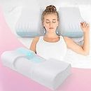 Hydomi Anti Wrinkle Pillow 2 In 1 Anti Aging Beauty Memory Foam Pillow, Neck Support Back Sleeping Pillow for Wrinkle Prevention, Orthopedic Pillow for Neck and Shoulder Pain to Keep Head Straight