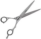 Dannyco 7" Stainless Steel Shears, 0.5 Grams