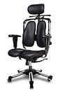 New Hara Chair, pressure relief of the intervertebral discs and improved buttock circulation, Model: WLV / Color: M-117 Black