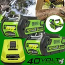 40V 6.0Ah Battery / Rapid Charger For Greenworks 40 Volt Lithium 29482 29252 New