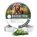 Animal Vita® Premium Zeckenhalsband für Hunde - Zuverlässiger Schutz vor Zecken [wasserdicht und größenverstellbar] bis zu 8 Monate Zeckenschutz für Hunde