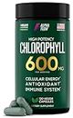 Chlorophyll Capsules 600 mg - Natural Chlorophyll Pills for Women & Men - Highly BioAvailable Chlorophyll Supplement for Energy, Immunity, Skin + Internal Deodorant
