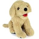 Golden Retriever Stuffed Animals, Soft Cuddly Puppy Dog Plush Toys, Baby Stuffed Plush Toys Gift for Kids, Beige, 12"