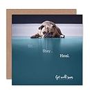 Wee Blue Coo GREETINGS CARD BIRTHDAY GIFT GET WELL SIT STAY HEAL DOG