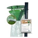 GAIAGEN STB® Lure Combo Pack - Pheromone Lure for Sugarcane Top Borer (Scirpophaga excerptalis) & Insect Funnel Trap (Fero-T® Traps)| Includes - 10 STB Lures® & 10 Insect Funnel Traps