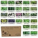 Pronto Seed Herb Bumper Pack - for Planting Now - Grow Your Own Kit - Containing 24 Different Varieties of Herbs - Aromatic, Mediterranean, Garden & Classic Herbs - Gardening Gift for Women and Men