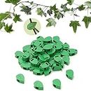 MIZAZBOX 100 PCS Plant Climbing Fixture Clips for Climbing Plants Support with 120 PCS Adhesive Sticker, Plant Fixer Invisible Wall Vines Fixing Clips for Garden, Home Decor, Cable Wire Fixing