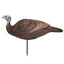 Primos Hunting Lil Gobstopper Hen Turkey Decoy Light-Weight, Collapsible Hunting Decoy 69073, Multicolor